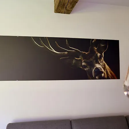 Apartment Almblick Mit Sauna *