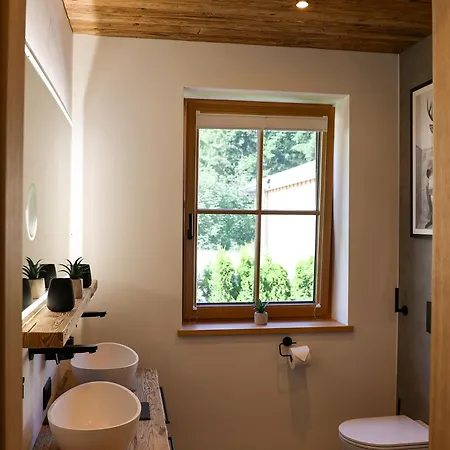 Almblick Mit Sauna Apartment