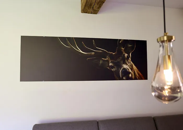 公寓 Almblick Mit Sauna *