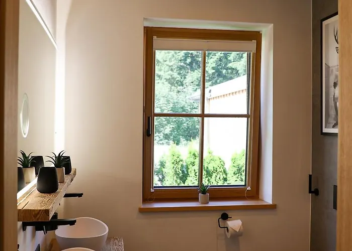 Almblick Mit Sauna 公寓