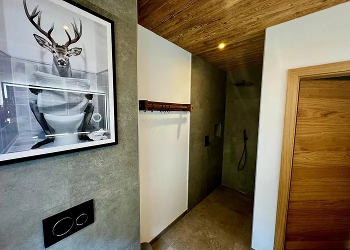 Almblick Mit Sauna 公寓 *